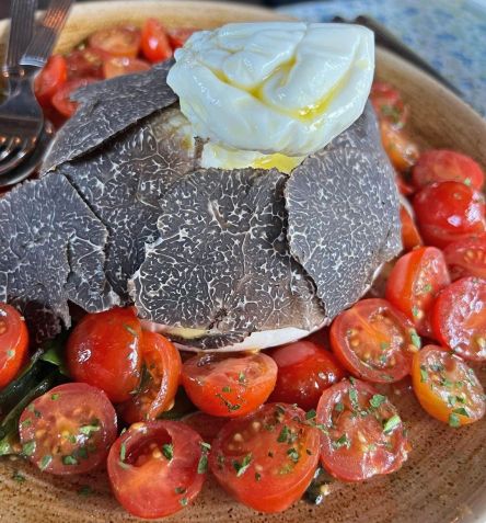Burrata com tomate cereja e pesto com trufas negras do Le Mille Sabords / Daniela Filomeno