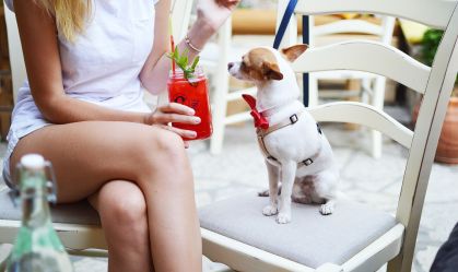 Conheça restaurantes pet friendly em São Paulo
