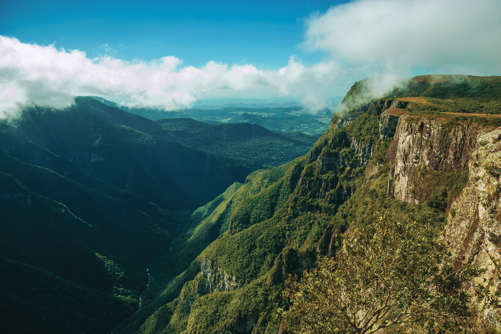 Fortaleza Canyon With Steep Rocky Cliffs And Forest In A Cloudy Day Near Cambará Do Sul. Brazil.