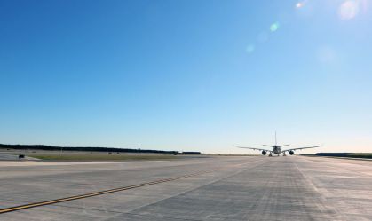 Um novo problema para a aviação: vespas