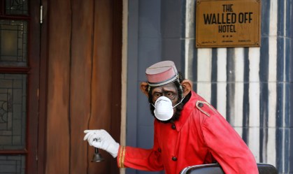 Hotel de Banksy coloca máscara contra coronavírus em estátua de macaco
