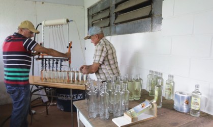 Cachaça: a história por trás da bebida favorita do Brasil