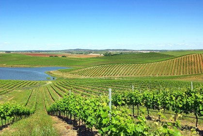 Região Vinhos Verdes Guia Portugal https://www.cnnbrasil.com.br/viagemegastronomia/viagem/regiao-dos-vinhos-verdes-em-portugal-e-deleite-para-olhos-e-paladar-veja-onde-ir/