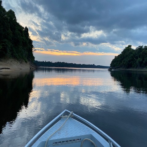 A Floresta Amazônica se espalha por nove estados brasileiros/ Divulgação