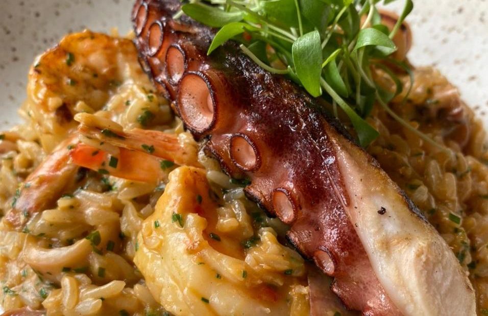 Arroz cremoso com polvo Basilicata