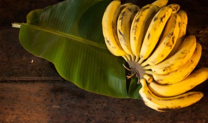 5 séries para apaixonados por gastronomia