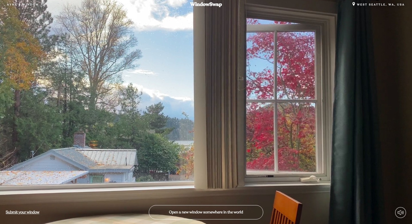 janela window swap