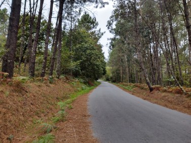 Caminho de Santiago
