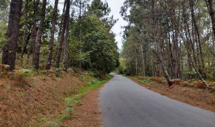 De centenas de peregrinos a raros solitários: a pandemia no Caminho de Santiago