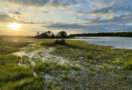 Pantanal está entre os 50 melhores destinos do mundo para se visitar em 2023 da revista Time
