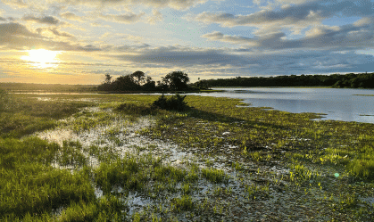 Pantanal, um refúgio na natureza