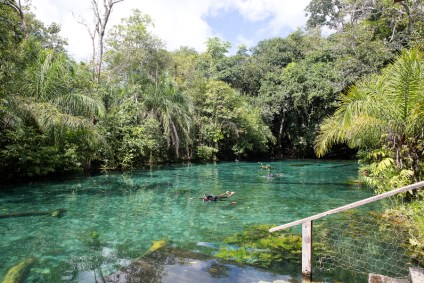 Nascente Azul em Bonito