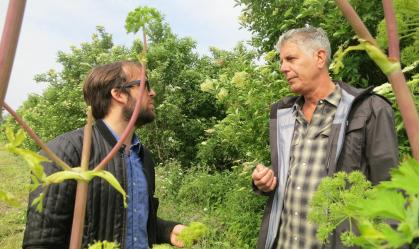 Bourdain visita o NOMA, em Copenhage, um dos melhores restaurantes do mundo