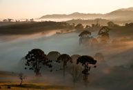 Conheça o Parque Nacional da Serra da Bocaina