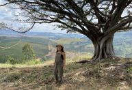 O delicioso mundo dos azeites e queijos da Serra da Mantiqueira