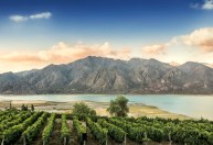Malbec já não é mais uma uva “tão francesa” assim