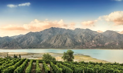 Malbec já não é mais uma uva “tão francesa” assim
