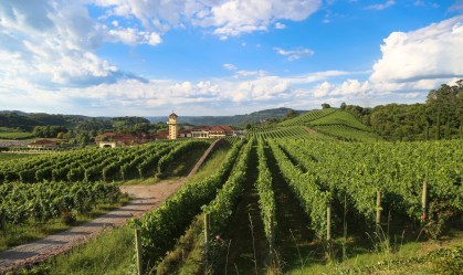 Um guia com os melhores vinhos da Serra da Mantiqueira para degustar
