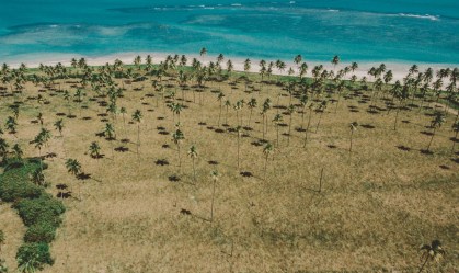 Miniguia prático de São Miguel dos Milagres, em Alagoas, para o Réveillon e feriados