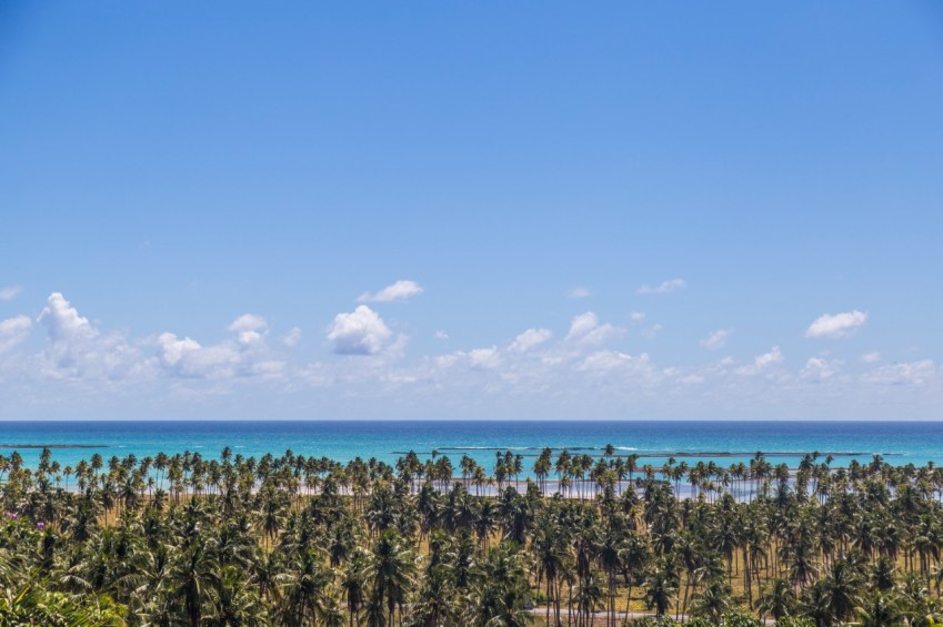 São Miguel dos Milagres, em Alagoas, é opção para contemplar a natureza e ter dias de descanso no meio do Carnaval / Arquivo Agência Tamo Junto