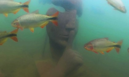 Bonito ganhará primeiro museu subaquático de água doce do mundo