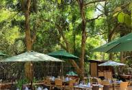 Restaurantes com áreas abertas em Campinas