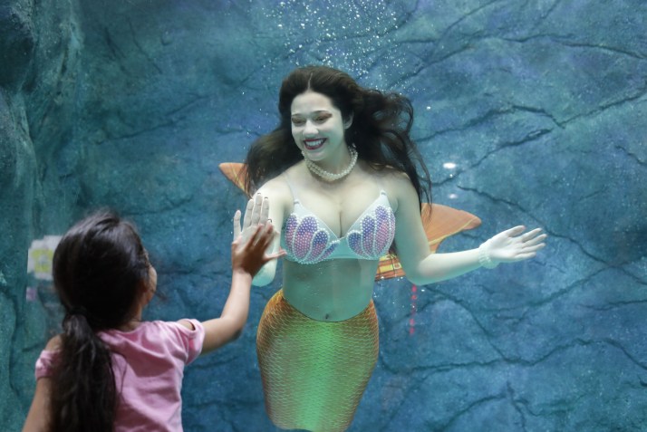 Atração Mergulho da Sereias acontece no Aquário de São Paulo, que comemora 15 anos • Foto: divulgação