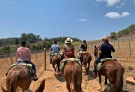 Enoturismo: vinícola na Serra da Mantiqueira une cavalgada e degustação