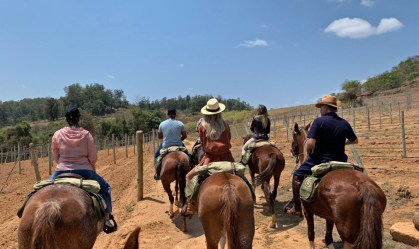 Enoturismo: vinícola na Serra da Mantiqueira une cavalgada e degustação