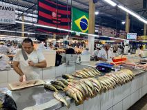 feira manaus moderna
