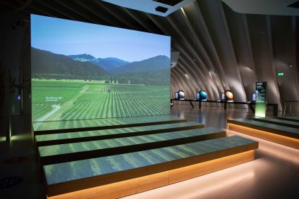 cite du vin exibicao permanente bordeaux