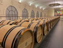 cave chez chateau pavie