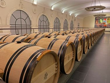 cave chez chateau pavie