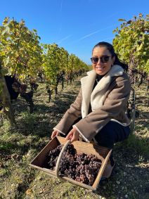 daniela filomeno colhe uvas chateau dyquem
