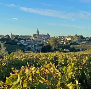 saint emilion a partir dos vinhedos do chateau pavie