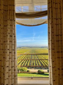 vinhedos chateau dyquem