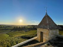 vinhedos chateau pavie bordeaux