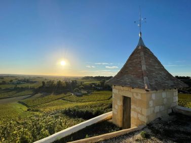 vinhedos chateau pavie bordeaux