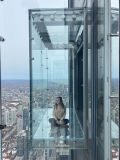 Skydeck Chicago