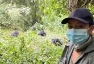 Como é estar lado a lado dos gorilas de Ruanda no Parque Nacional dos Vulcões