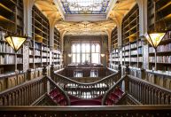 Conheça as livrarias mais buscadas do mundo em 2025, da Argentina ao Japão