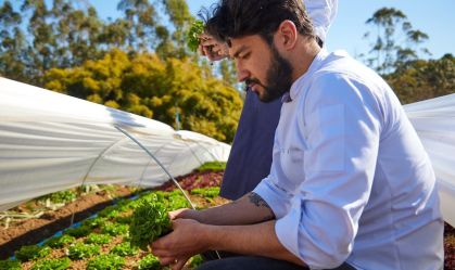 Onde os chefs comem? Com João Izar, em Campos do Jordão e São Paulo