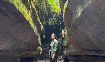 No coração da Amazônia: as maravilhas do Parque Nacional de Anavilhanas