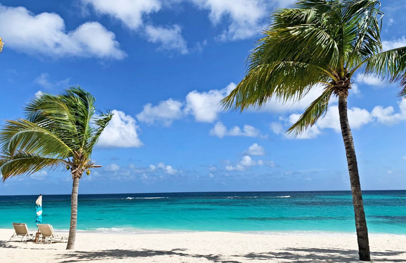 anguilla shoal bay