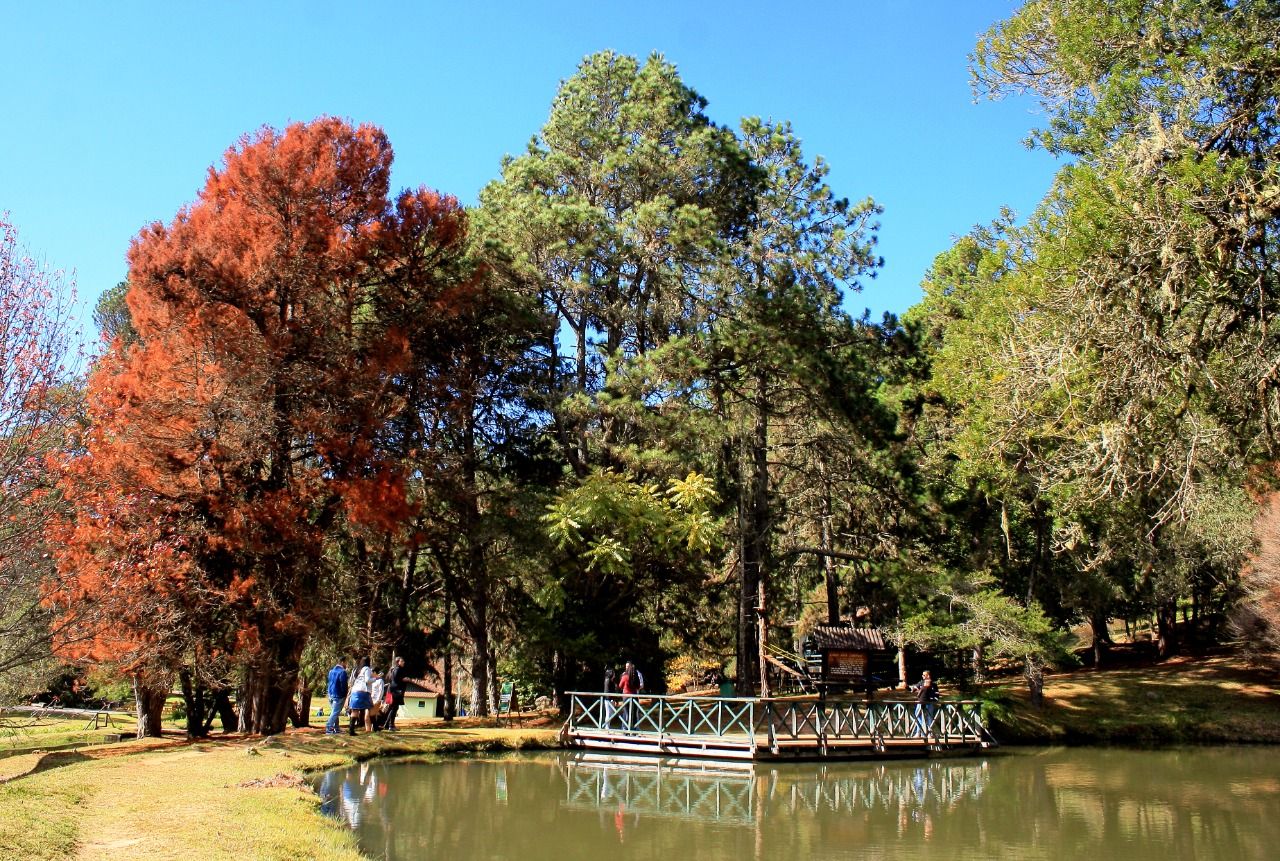 Horto Florestal Campos do Jordão / Sérgio Biagioni/PMCJ