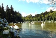 Férias de julho: destinos para curtir as baixas temperaturas com as crianças