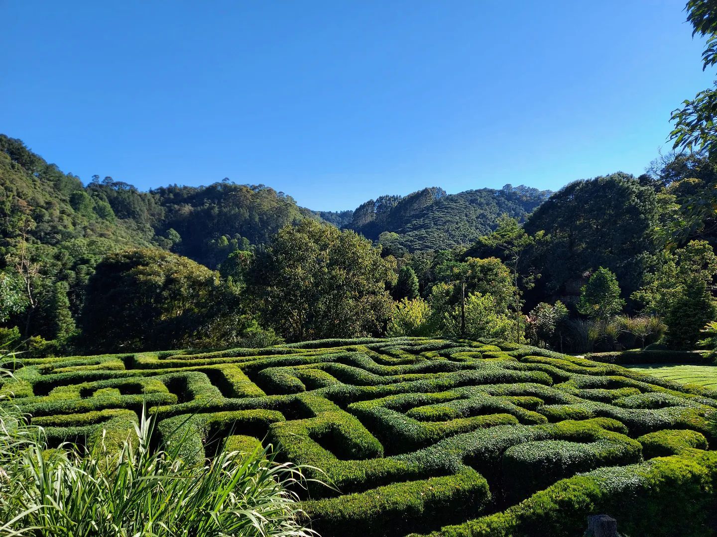 Parque Amantikir tem mais de 20 jardins, preenchidos com mais de 700 espécies de vários países. Labirinto é um dos pontos famosos do local / Reprodução Facebook
