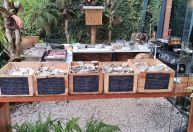 Restaurante de Curitiba serve ostras de diferentes procedências do Brasil