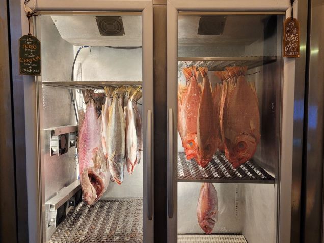 Câmara de peixes maturados do Sabor das Águas, no Leblon / Fabio Wright