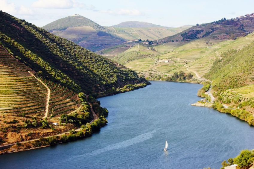 Vinho do Porto é um vinho licoroso produzido na Região Demarcada do Douro, no nordeste de Portugal • Divulgação